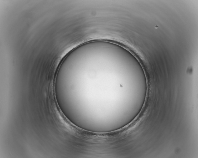 X0000090781513200707201124