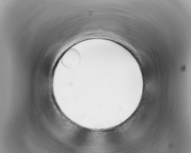 X0000090781514200707201124