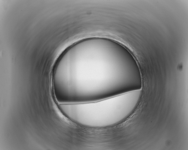 X0000090781515200707201124