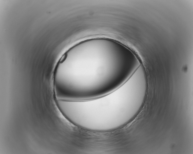 X0000090781516200707201124
