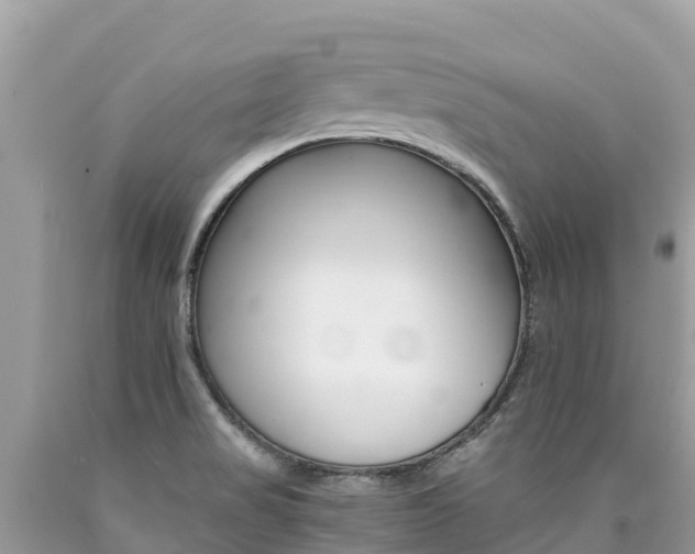 X0000090781517200707201124