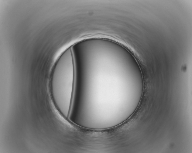 X0000090781518200707201124