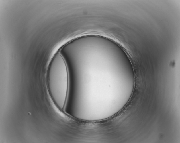 X0000090781519200707201124