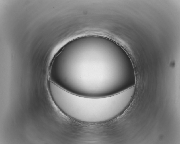 X0000090781520200707201124