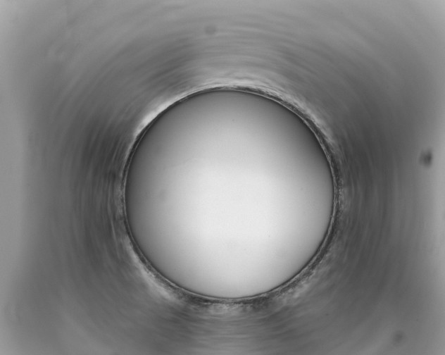 X0000090781521200707201124