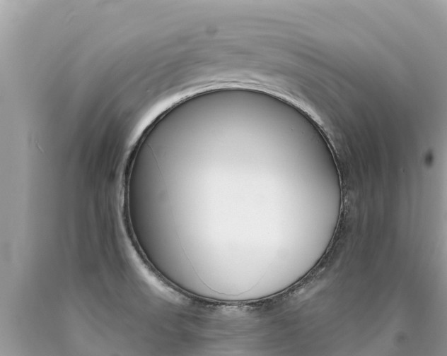 X0000090781523200707201124