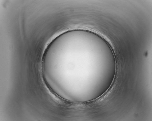 X0000090781525200707201124