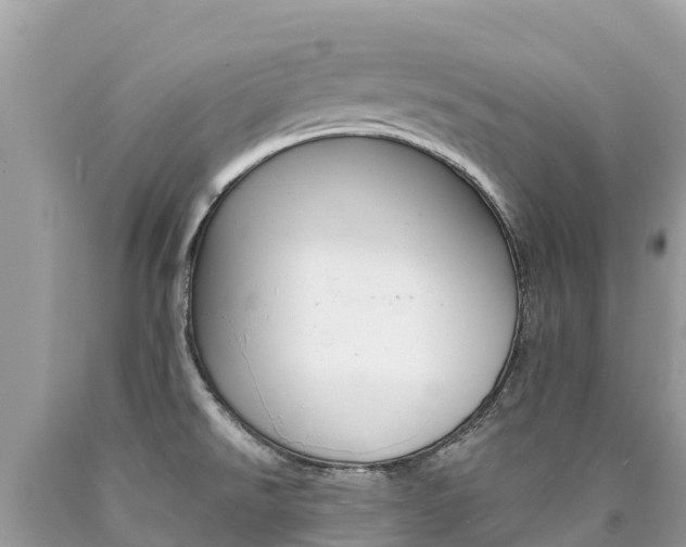 X0000090781526200707201124