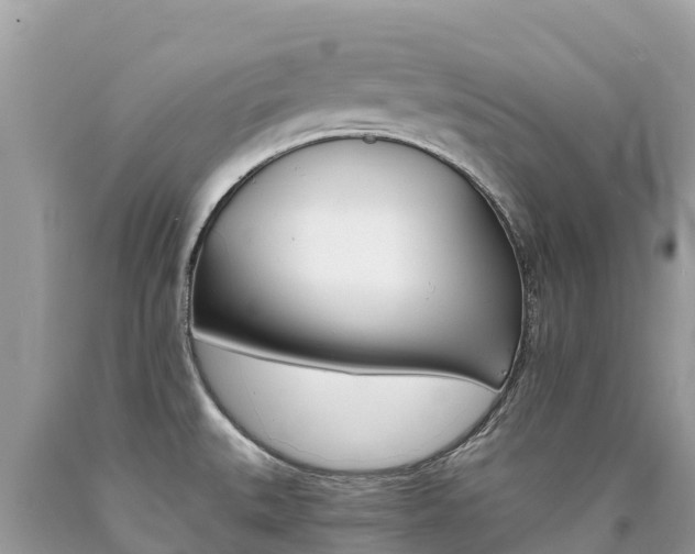 X0000090781527200707201124