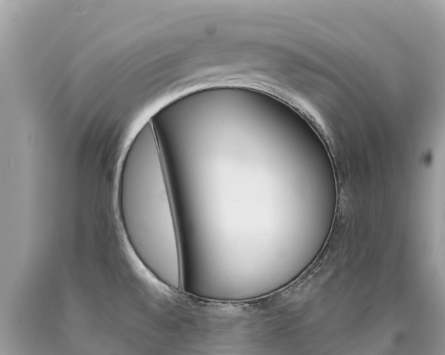 X0000090781528200707201124
