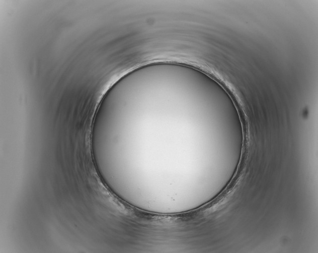 X0000090781529200707201124