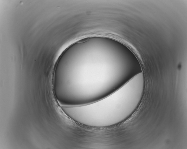 X0000090781530200707201124