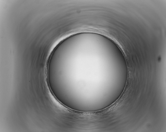 X0000090781531200707201124