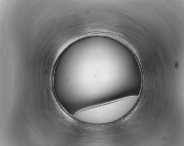 X0000090781533200707201124