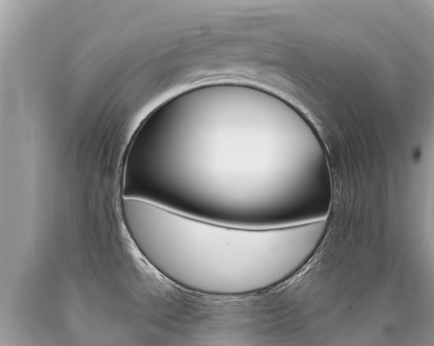 X0000090781534200707201124