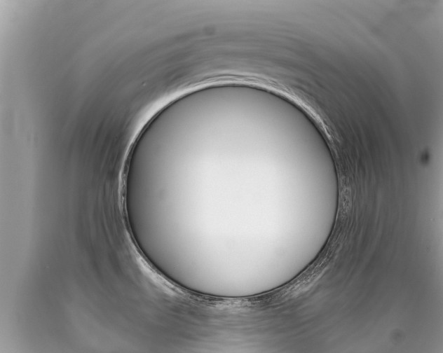 X0000090781535200707201124
