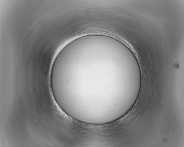 X0000090781536200707201124