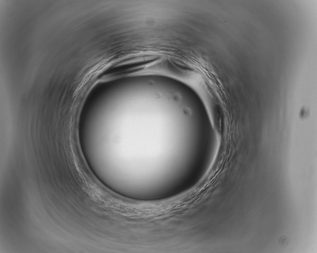 X0000090780001200707201533
