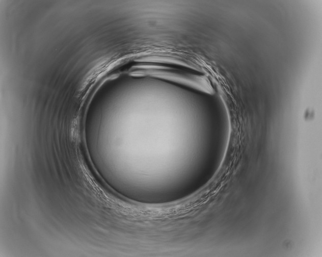 X0000090780002200707201533