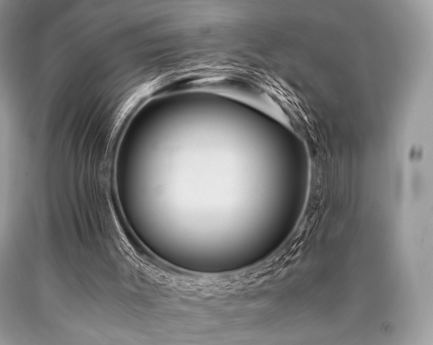 X0000090780003200707201533