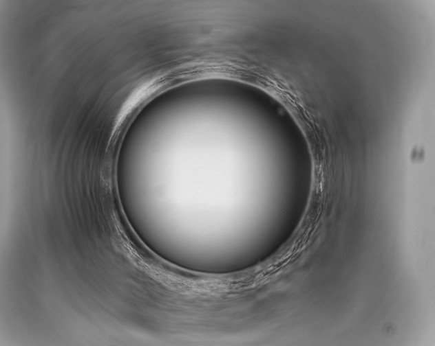 X0000090780004200707201533