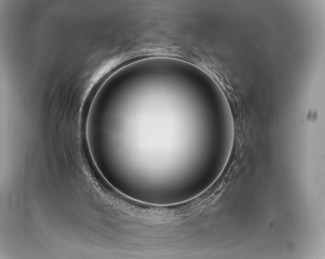 X0000090780008200707201533