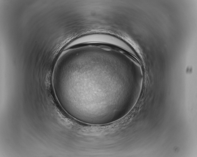 X0000090780009200707201533