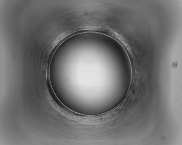 X0000090780011200707201533