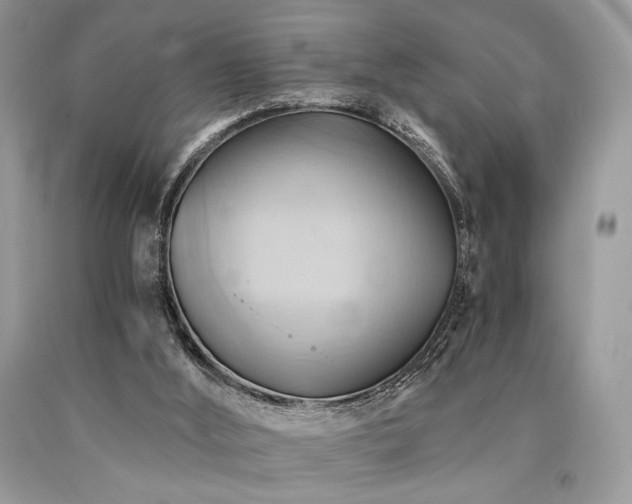 X0000090780012200707201533
