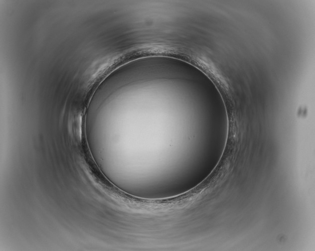 X0000090780014200707201533