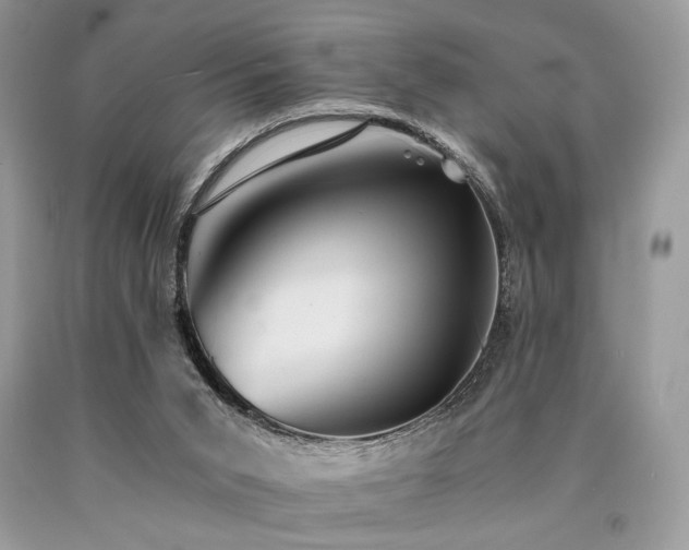 X0000090780015200707201533