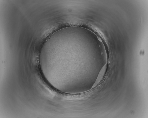 X0000090780017200707201533