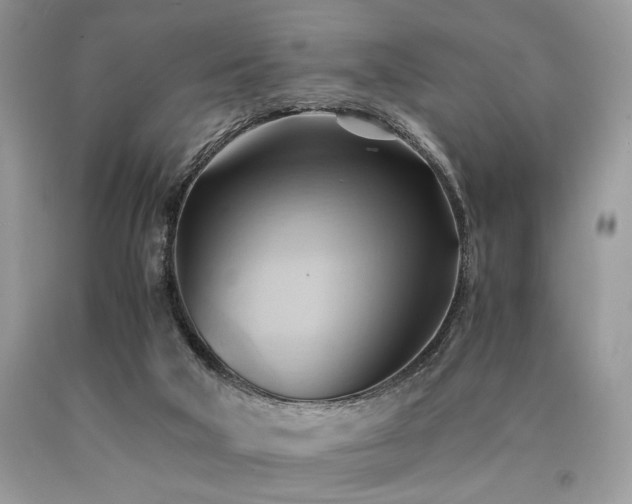 X0000090780018200707201533