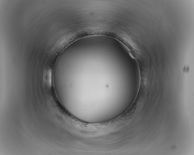 X0000090780022200707201533