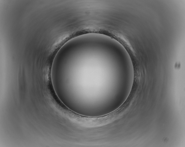 X0000090780023200707201533