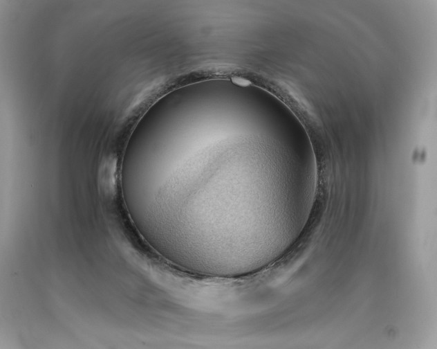 X0000090780024200707201533