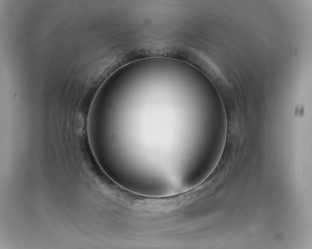 X0000090780025200707201533