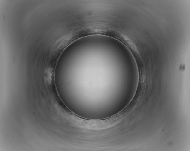 X0000090780026200707201533