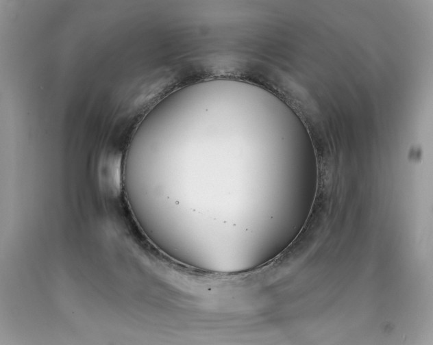 X0000090780028200707201533