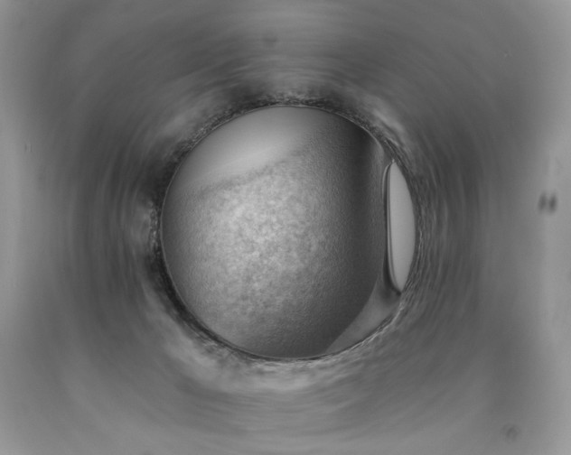 X0000090780029200707201533