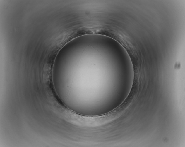 X0000090780030200707201533