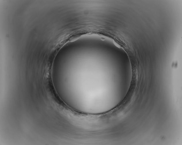 X0000090780032200707201533