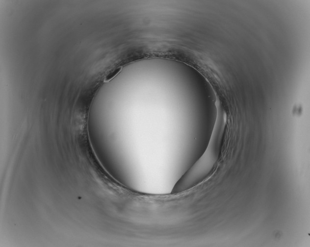 X0000090780033200707201533