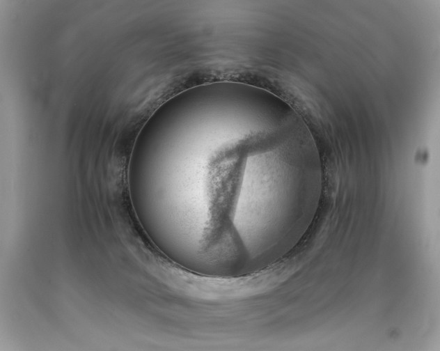 X0000090780034200707201532