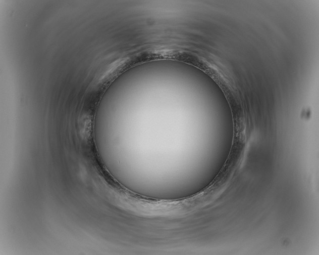 X0000090780036200707201532