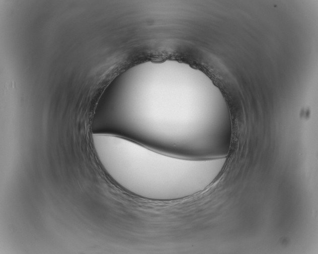 X0000090780037200707201532