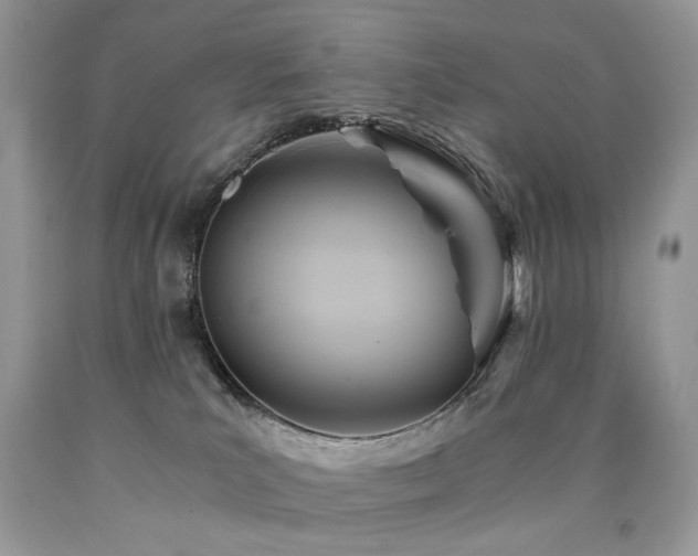 X0000090780039200707201532