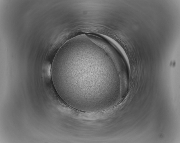 X0000090780041200707201532