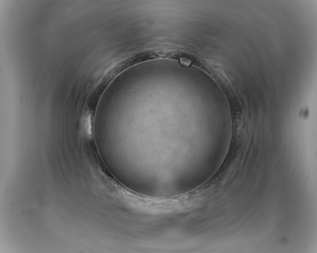X0000090780042200707201532