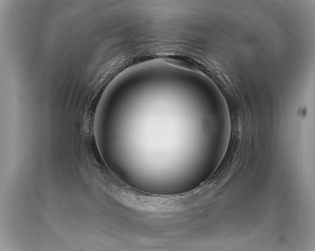 X0000090780044200707201532
